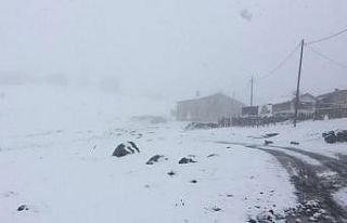 Mayıs karına Rizeli vatandaştan ilginç tepki:...