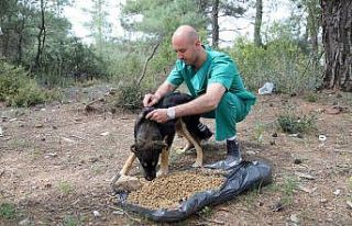 Menderes’te tam kapanma döneminde can dostlar unutulmadı