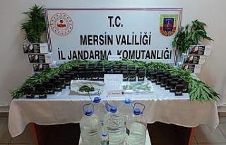 Mersin’de 85 kök kenevir bitkisi ele geçirildi