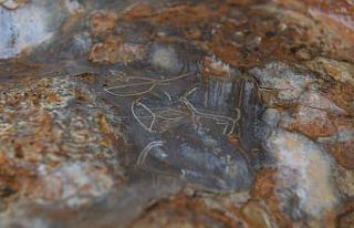 Mersin’de bir mağarada bulunan 8 bin yıllık kaya...