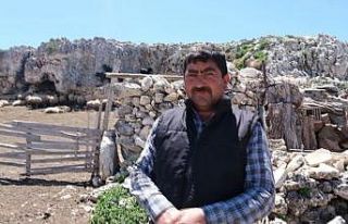 Mersin’de kurtların saldırısına uğrayan 70...