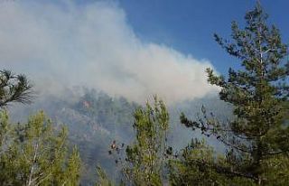 Mersin’de orman yangını