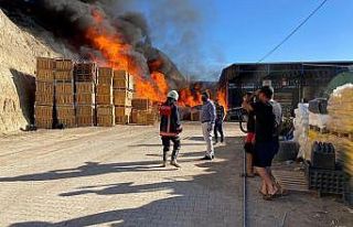 Mersin’de soğuk hava deposunda çıkan yangın...