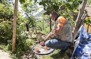 Mersin’de sokak hayvanlarına 7 ton mama