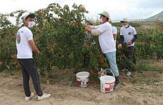 Mersin’de tarım işçilerine korona tedbiri