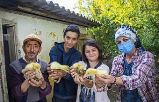 Mersin’de üretici kadınlara kaz desteği