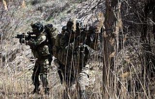 Metina’da 2 PKK’lı terörist daha etkisiz hale...