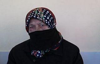 Mevlüde Genç, Solingen’de 28 yıl önceki facia...