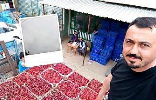 Mevsimin ilk karabodur kirazı görücüye çıktı