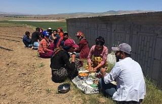 Mevsimlik işçilerin zorlu bayram mesaisi