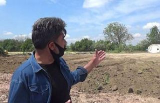 Mevsimlik tarım işçileri güvende