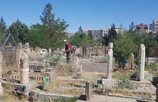 Mezarlıklarda çevre temizliği