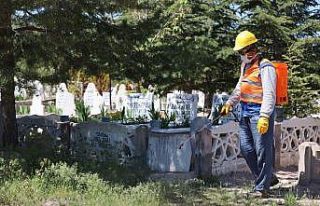 Mezarlıklarda yaz temizliği yapıldı