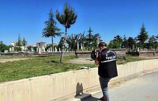 Mezarlıkta intihar girişimi