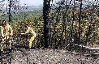 Mihalıççık’taki orman yangınında soğutma...