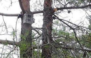 Milli Parklar Müdürlüğü’nden önemli açıklama