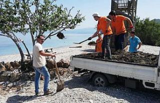 Milli Park’ta sezon hazırlığı sürüyor