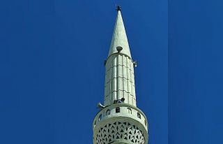 Minarede mahsur kalan kedi kurtarıldı