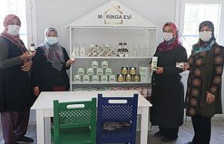 Moringa bitkisi sayesinde iş kadını oldular