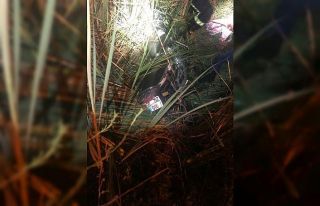 Motosiklet dereye uçtu: 1 yaralı