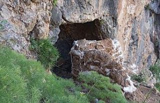 MSB: "PKK’ya ait çok sayıda silah ve mühimmat...
