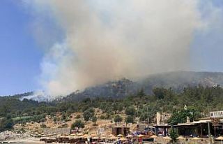 Muğla’daki orman yangını büyüyor