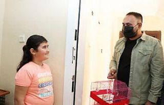 Muhabbet kuşu kaçan küçük Melisa’ya belediye...