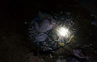 Muradiye’de 300 kilogram kaçak inci kefali ele...