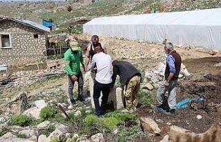 Müze ve köylülerin işbirliği tarihi mezarları...