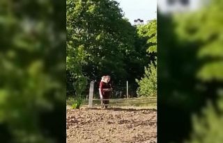 Namaz kılan vatandaşın torunuyla imtihanı: Sarıldı,...