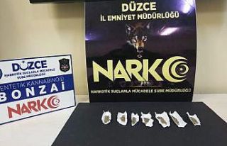 Narkotik ekipleri bayramda yoğun mesai yaptı