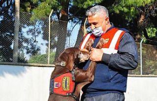 Narkotik köpeği ‘Volta’ emekli oldu