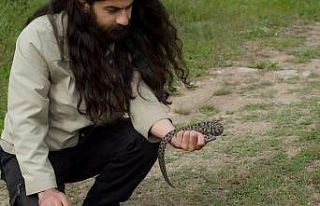 Nesli tükenme altında, Sivas’ta görüldü