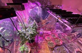 Odada kenevir yetiştirme sistemi kurmuşlar