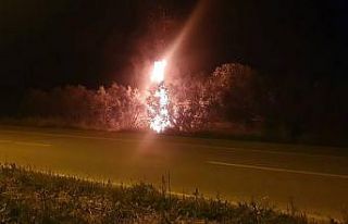 Odun yüklü kamyonet alev topuna döndü
