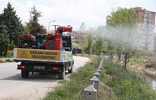 Odunpazarı’nda ilaçlama çalışmaları titizlikle...
