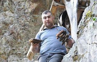 Önce yatağına yatmış sonra kovanlarını parçalamış