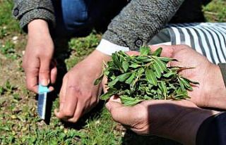 Onlarca çeşit yemeği yapılıyor, hepsi birbirinden...