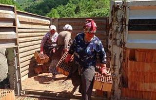 Onların ne Anneler ne de Kadınlar Günü var