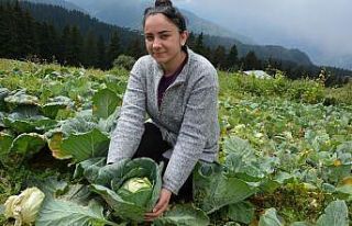 Ordu’da E-ticaret sistemi üreticiye kazandırıyor