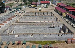 Ordu’da hayvanlar için modern hastane