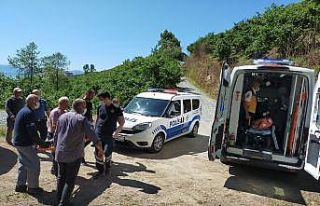 Ordu’da kestiği ağacın altına kalan yaşlı...