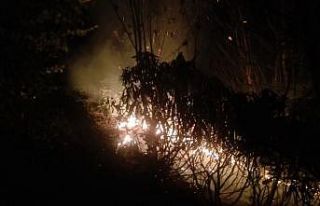 Ordu’da ormanlık alandaki yangına müdahale sürüyor