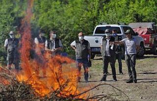 Orman bölgenin ateş savaşçıları mücadeleye...