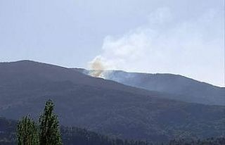 Orman yangınında 3 dönümlük alan küle döndü