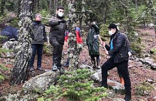 Ormanların gençleştirme çalışmaları devam ediyor