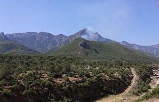 Ormanlık alandan yükselen dumanlar ekipleri seferber...