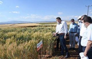 Orta Doğu’nun ve Avrupa’nın tohumu Adıyaman’dan