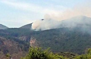 Ortaca’da orman yangınında 1 hektar yandı