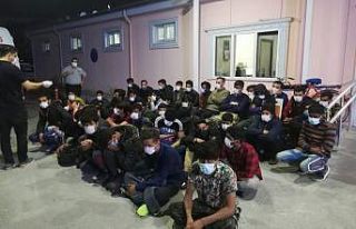Osmaniye’de 66 düzensiz göçmen yakalandı